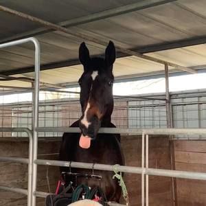 Meet your Posher, Jackie